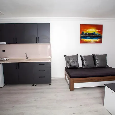 Sincerity マルマリス